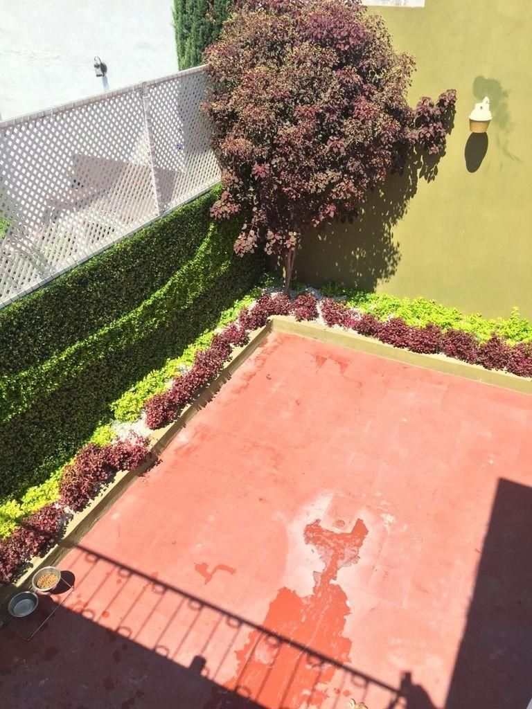 Foto 22