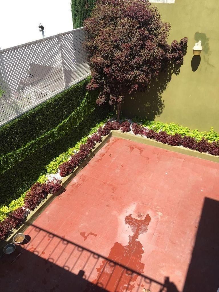 Foto 23